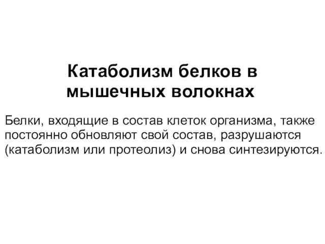 Катаболизм белков в мышечных волокнах Белки, входящие в состав клеток организма, также