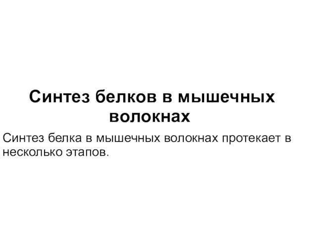 Синтез белков в мышечных волокнах Синтез белка в мышечных волокнах протекает в несколько этапов.