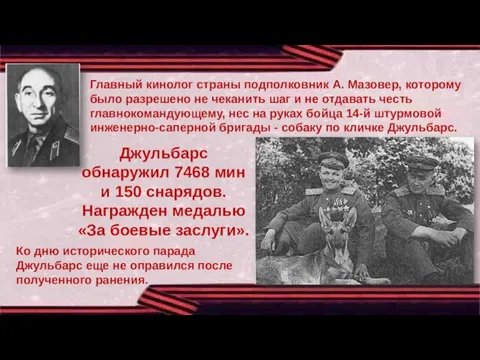 Джульбарс обнаружил 7468 мин и 150 снарядов. Награжден медалью «За боевые заслуги».