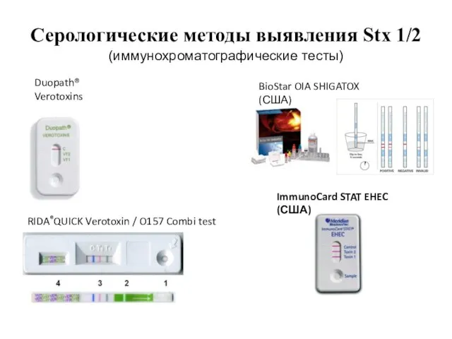 Серологические методы выявления Stx 1/2 (иммунохроматографические тесты) RIDA®QUICK Verotoxin / O157 Combi