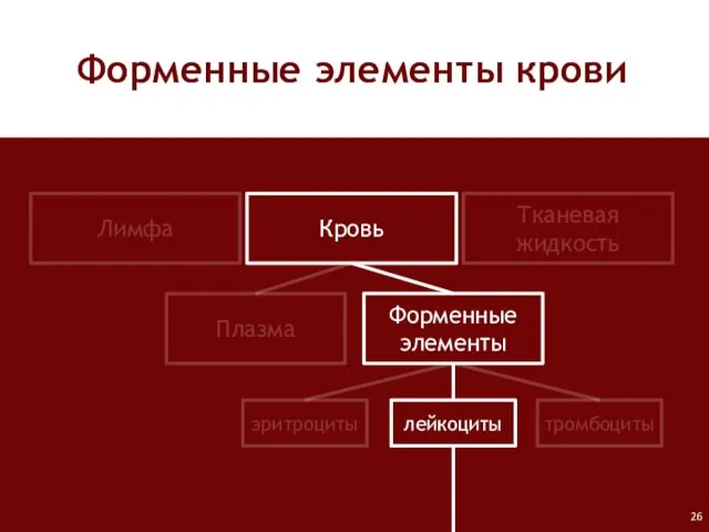 Форменные элементы крови Лимфа Кровь Тканевая жидкость Плазма Форменные элементы лейкоциты тромбоциты эритроциты