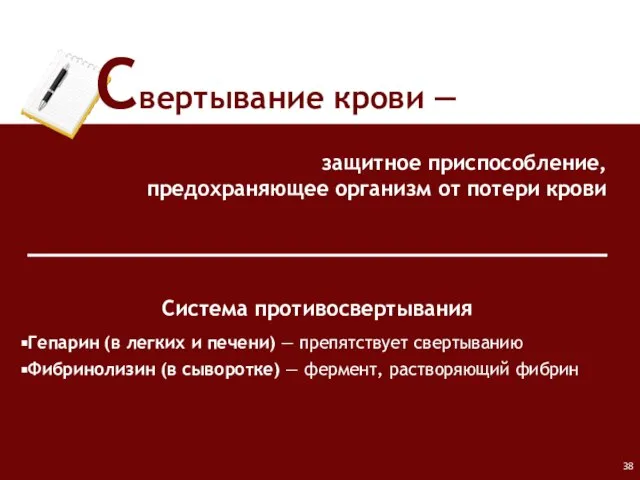 защитное приспособление, предохраняющее организм от потери крови Свертывание крови ― Система противосвертывания