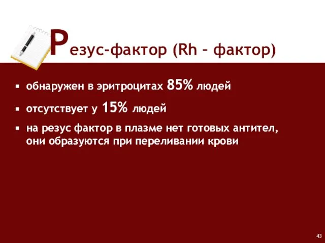 Резус-фактор (Rh – фактор) обнаружен в эритроцитах 85% людей отсутствует у 15%