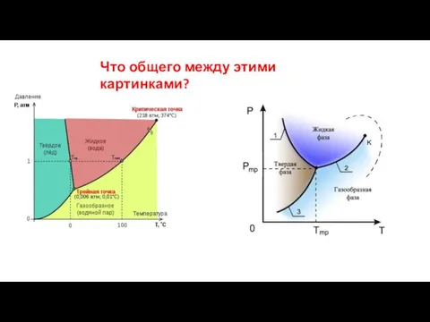 Что общего между этими картинками?