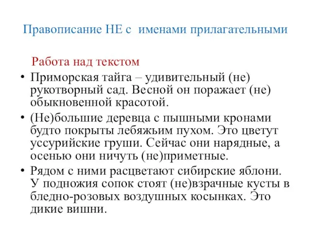 Правописание НЕ с именами прилагательными Работа над текстом Приморская тайга – удивительный