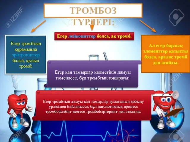 ТРОМБОЗ ТҮРЛЕРІ: Егер тромбтың құрамында эритроциттер болса, қызыл тромб; Егер лейкоциттер болса,