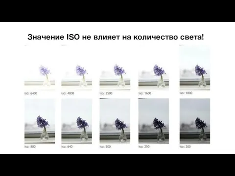 Значение ISO не влияет на количество света!