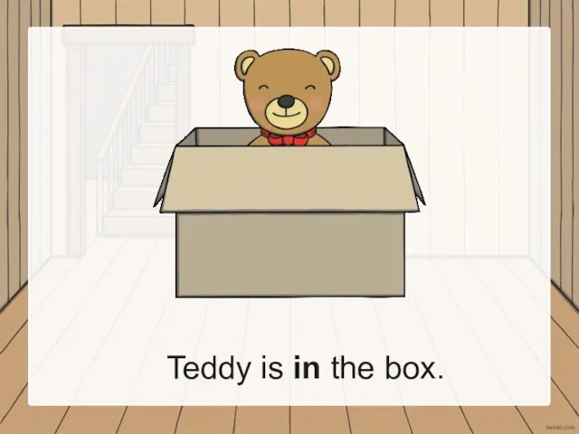 Teddy is in the box.