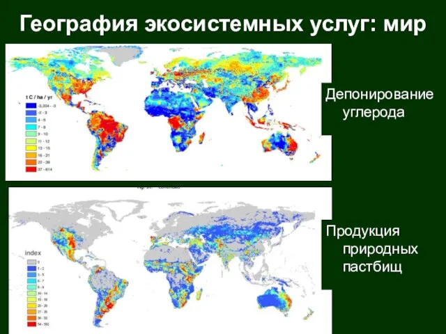 География экосистемных услуг: мир Депонирование углерода Продукция природных пастбищ