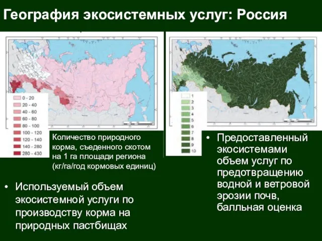 География экосистемных услуг: Россия Предоставленный экосистемами объем услуг по предотвращению водной и