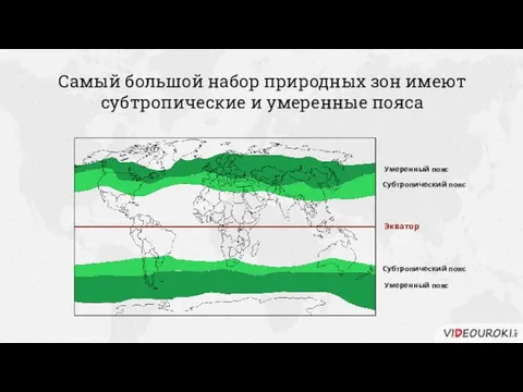 Самый большой набор природных зон имеют субтропические и умеренные пояса Экватор Субтропический