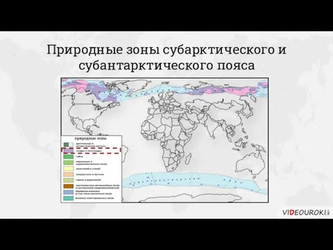 Природные зоны субарктического и субантарктического пояса