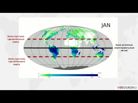 Зоны пустынь тропического пояса Зоны пустынь тропического пояса Зона влажных экваториальных лесов