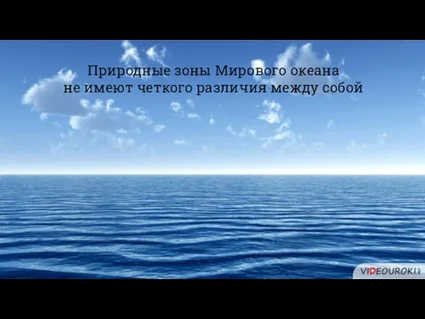 Природные зоны Мирового океана не имеют четкого различия между собой