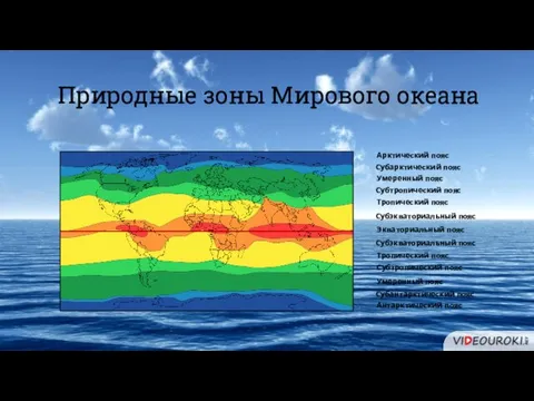 Природные зоны Мирового океана Экваториальный пояс Субэкваториальный пояс Субэкваториальный пояс Тропический пояс