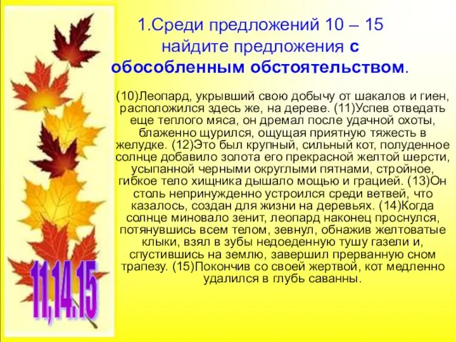 1.Среди предложений 10 – 15 найдите предложения с обособленным обстоятельством. (10)Леопард, укрывший