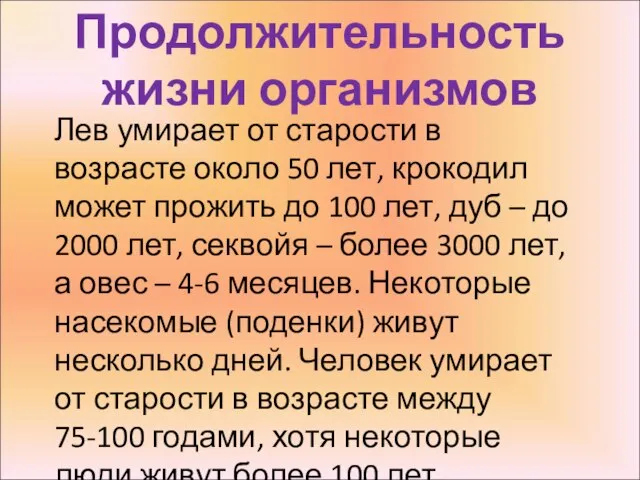 Продолжительность жизни организмов Лев умирает от старости в возрасте около 50 лет,