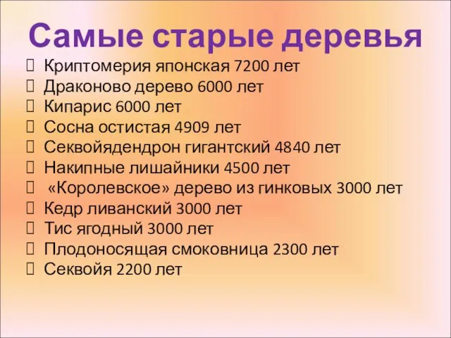 Самые старые деревья Криптомерия японская 7200 лет Драконово дерево 6000 лет Кипарис