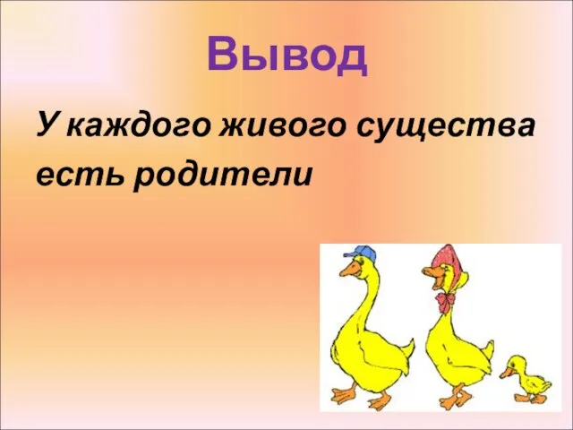 Вывод У каждого живого существа есть родители