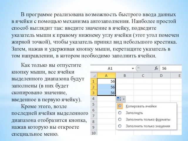 В программе реализована возможность быстрого ввода данных в ячейки с помощью механизма