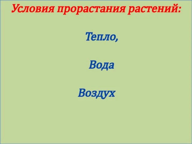 Условия прорастания растений: Тепло, Вода Воздух