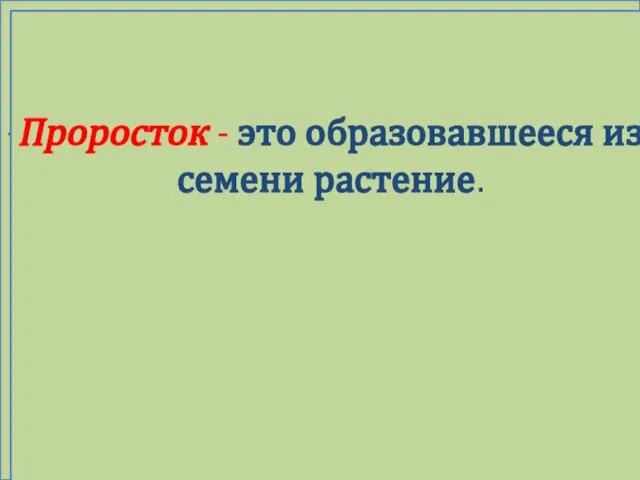 Проросток - это образовавшееся из семени растение. Проросток - это образовавшееся из семени растение.