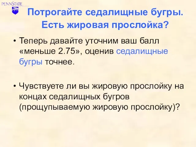 Потрогайте седалищные бугры. Есть жировая прослойка? Теперь давайте уточним ваш балл «меньше