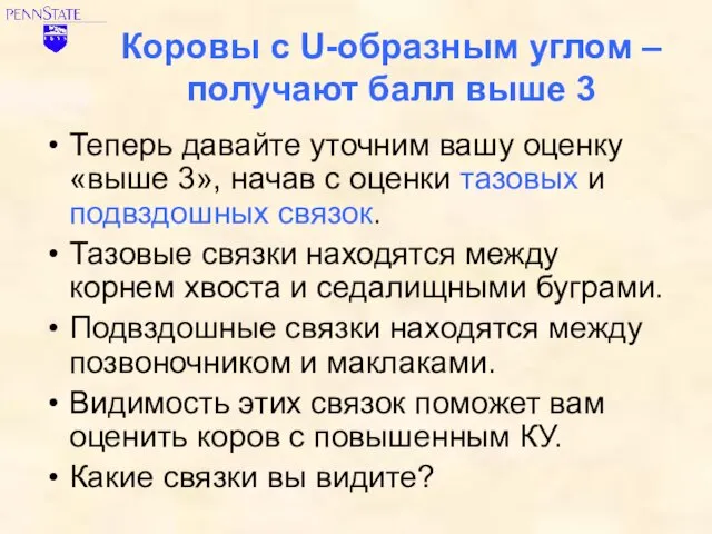 Коровы с U-образным углом – получают балл выше 3 Теперь давайте уточним