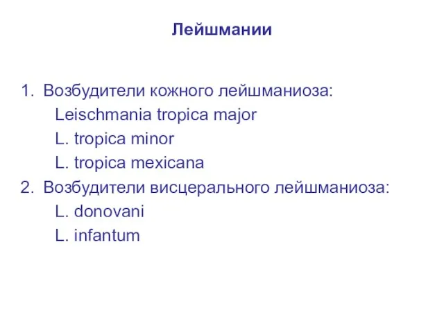 Лейшмании Возбудители кожного лейшманиоза: Leischmania tropica major L. tropica minor L. tropica