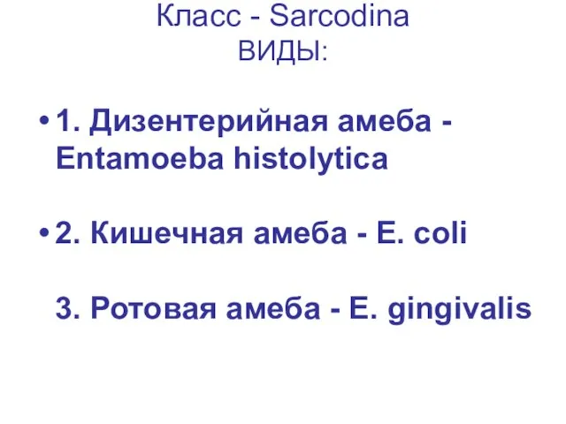 Класс - Sarcodina ВИДЫ: 1. Дизентерийная амеба - Entamoeba histolytica 2. Кишечная