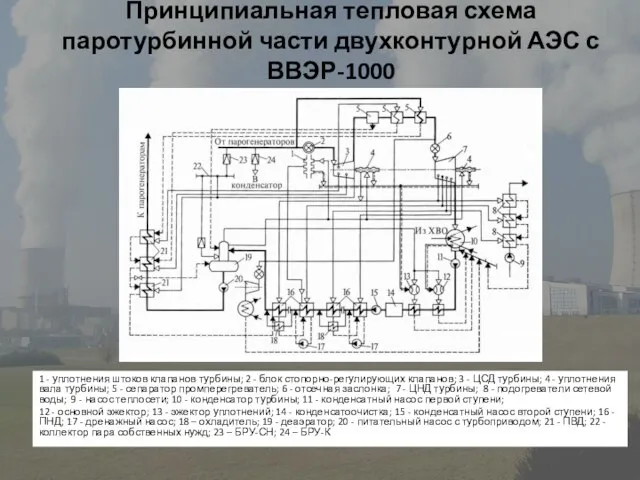 Принципиальная тепловая схема паротурбинной части двухконтурной АЭС с ВВЭР-1000 1 - уплотнения