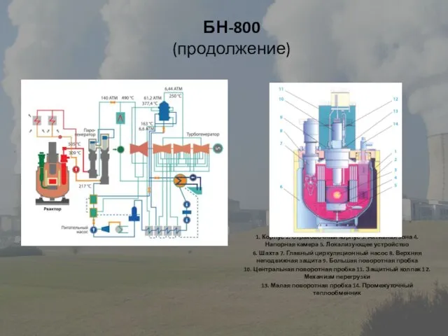 БН-800 (продолжение) 1. Корпус 2. Страховочный корпус 3. Активная зона 4. Напорная