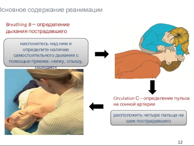 Основное содержание реанимации наклонитесь над ним и определите наличие самостоятельного дыхания с