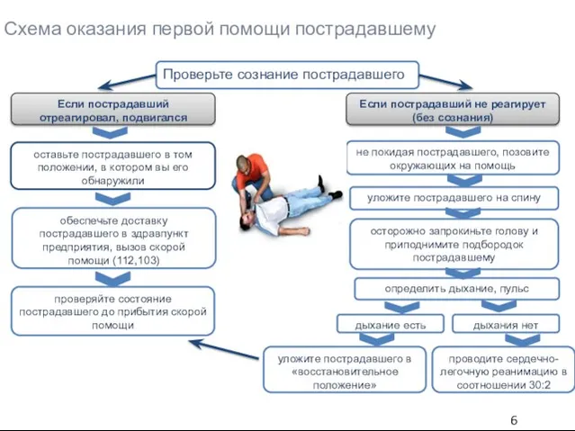 Схема оказания первой помощи пострадавшему Проверьте сознание пострадавшего Если пострадавший отреагировал, подвигался