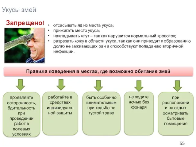 Запрещено! отсасывать яд из места укуса; прижигать место укуса; накладывать жгут –