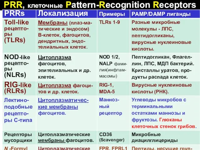 PRR, клеточные Pattern-Recognition Receptors