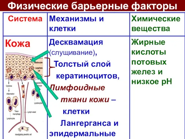 Физические барьерные факторы