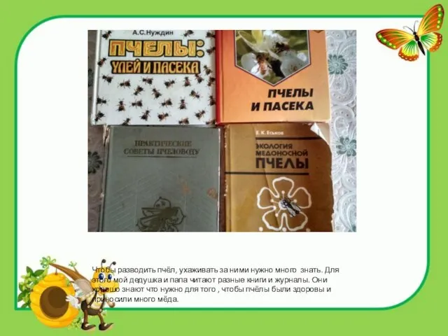 Чтобы разводить пчёл, ухаживать за ними нужно много знать. Для этого мой