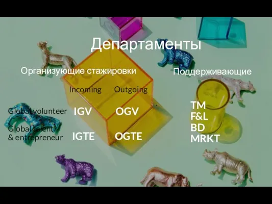 Поддерживающие IGV OGV IGTE OGTE Департаменты Организующие стажировки Global volunteer Global talent