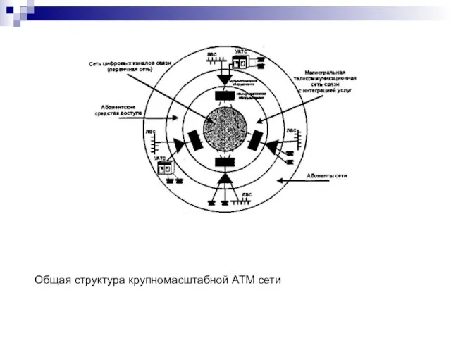 Общая структура крупномасштабной ATM сети