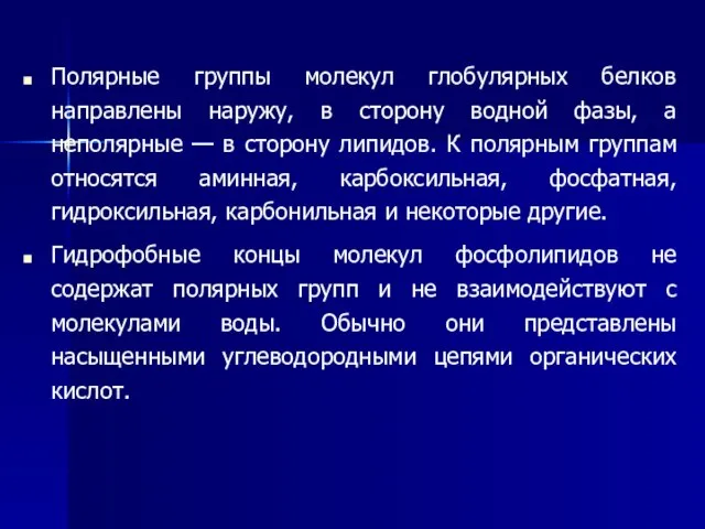 Полярные группы молекул глобулярных белков направлены наружу, в сторону водной фазы, а