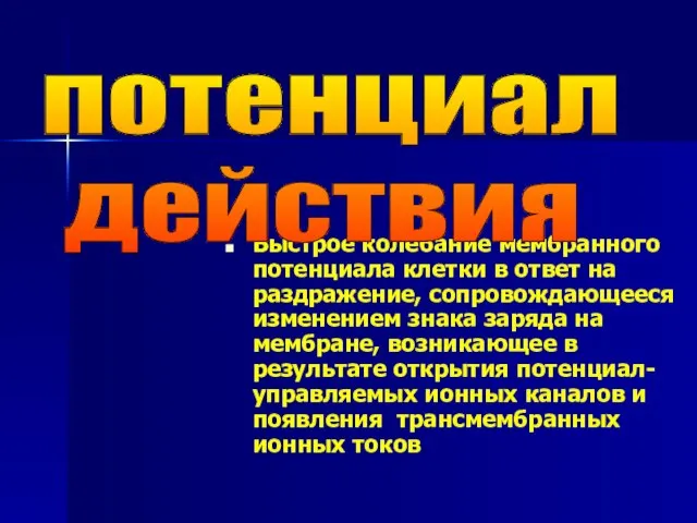 Быстрое колебание мембранного потенциала клетки в ответ на раздражение, сопровождающееся изменением знака