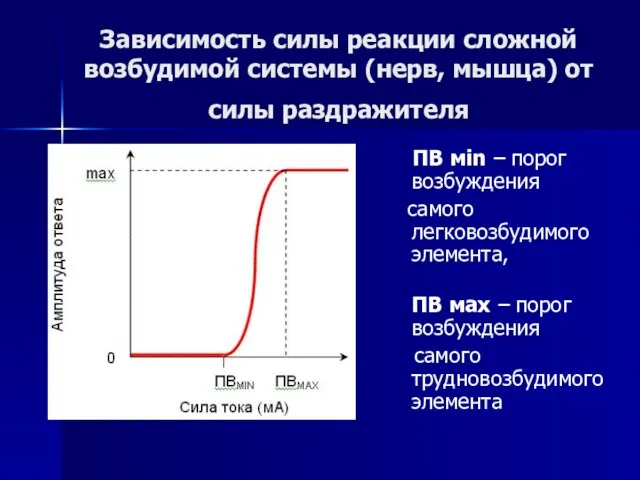 Зависимость силы реакции сложной возбудимой системы (нерв, мышца) от силы раздражителя ПВ