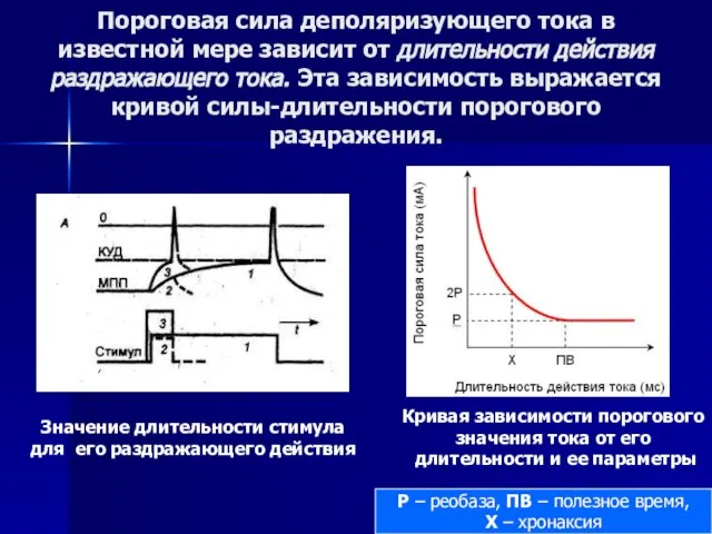 Пороговая сила деполяризующего тока в известной мере зависит от длительности действия раздражающего