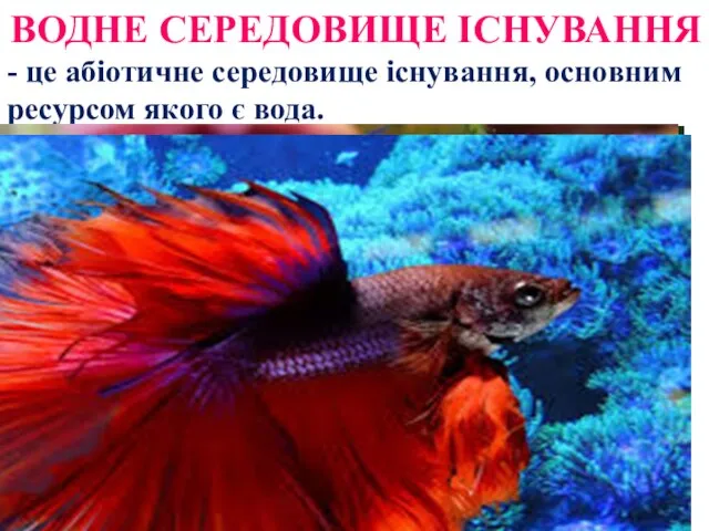 ВОДНЕ СЕРЕДОВИЩЕ ІСНУВАННЯ - це абіотичне середовище існування, основним ресурсом якого є вода.