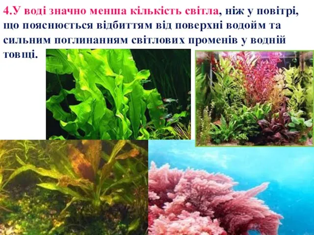 4.У воді значно менша кількість світла, ніж у повітрі, що пояснюється відбиттям