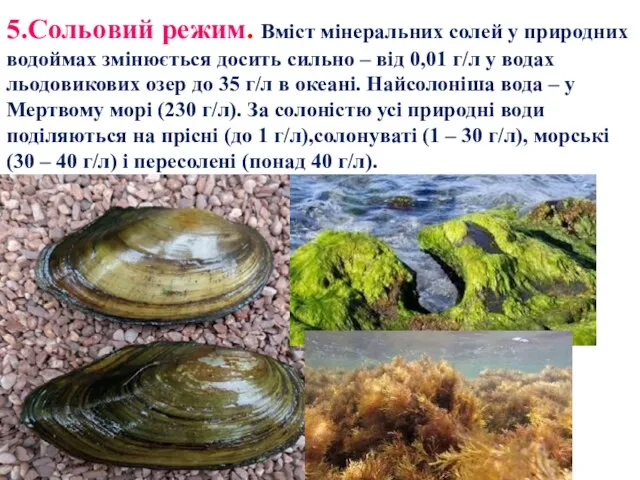 5.Сольовий режим. Вміст мінеральних солей у природних водоймах змінюється досить сильно –