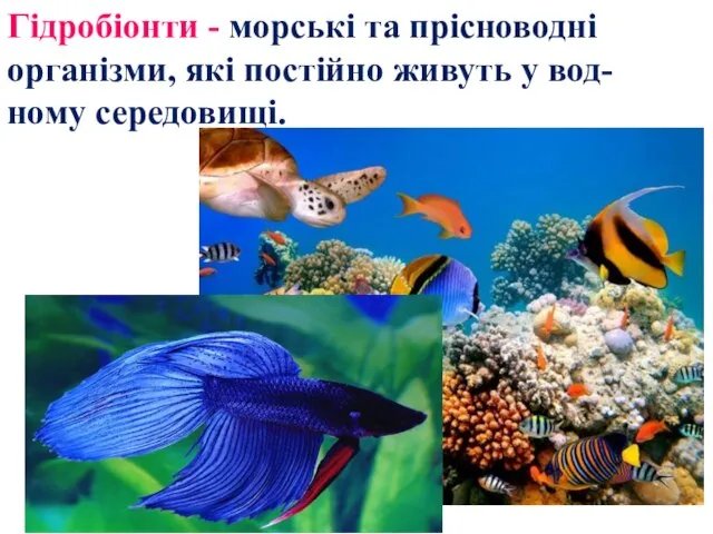 Гідробіонти - морські та прісноводні організми, які постійно живуть у вод- ному середовищі.
