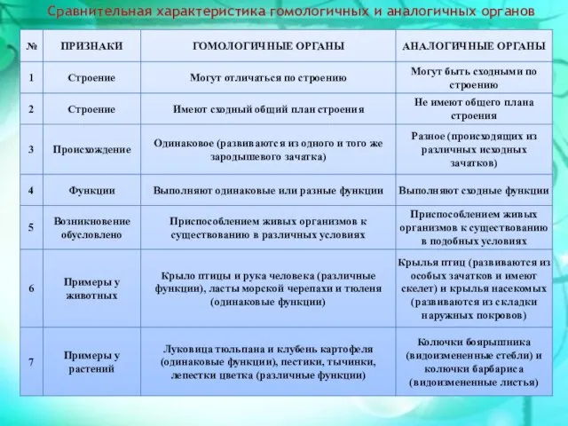 Сравнительная характеристика гомологичных и аналогичных органов