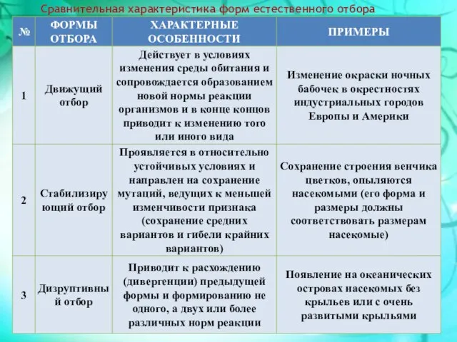 Сравнительная характеристика форм естественного отбора